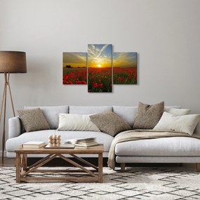 Egy kép a pipacs mezőről (90x60 cm)