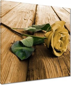 Vászonkép 60x60 Rózsa a deszkákon