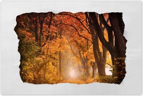 Poszterek 120x80 Őszi kilátás