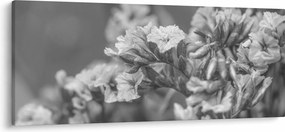 Kép - Szárított virágok (120x50 cm)