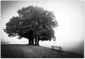 Poszterek 100x70 Tájkép szürke Bw