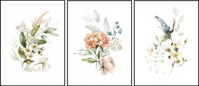 Poszter szett virágok növények grafika 3x 40x50cm
