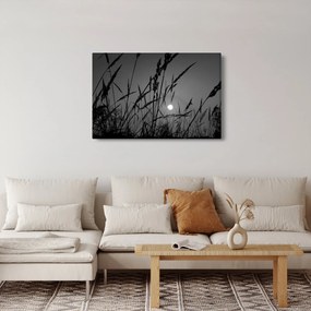 Kép - rét naplementével (90x60 cm)