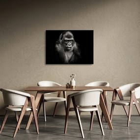 Üveg kép - Gorilla (70x50 cm)