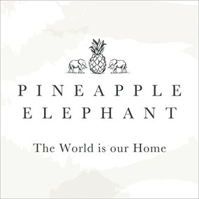 Párnahuzat szett 2 db-os 50x75 cm Tamba Stripe – Pineapple Elephant