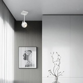 LED Dimmelhető spotlámpa NOP 1xGU10/5,8W/230V fehér