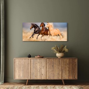Kép - Vad lovak (120x50 cm)