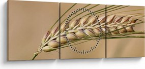 Kép - Búza (órával) (90x30 cm)
