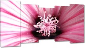 Vászonkép 150x80 Virágok