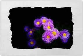 Poszter 60x40 Lila őszi virágok