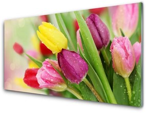 Akrilkép Tulipán virágok Plant 120x60 cm