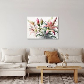 Kép - Liliomok, illusztrációk (70x50 cm)
