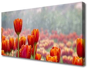 Vászonkép falra Tulipán virágok Plant 120x60 cm