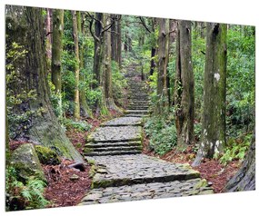 Kő lépcsők az erdőben (90x60 cm)