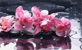 Modern fotótapéta Flizelina falra Virágos elegancia 416x254 Ragasztó