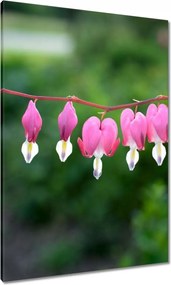 Festmények 70x100 Mária szíve