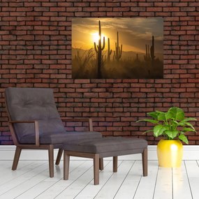 Kép - Saguaro kaktuszok (90x60 cm)