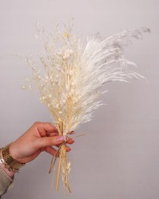 Szárított virágok és füvek vázába, szárított virágok tortára, Bézs szárított növények