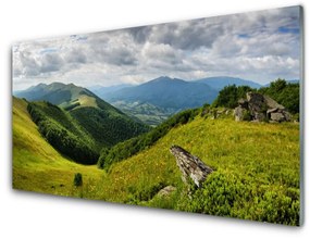 Üvegkép Mountain Meadow Landscape 120x60cm 2 fogas