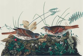 Fotótapéta Dekoratív Fali Tapéta Fotók A természet varázsa 104x70