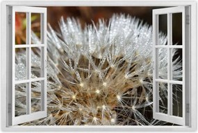 Poszterek 120x80 Pitypang Virág Virágok