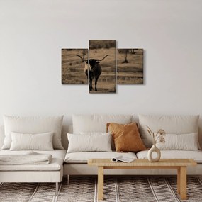Kép - Texasi tehén (90x60 cm)