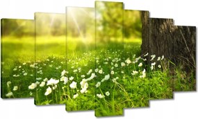 Festmények 140x80 Sugárzás a réten