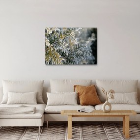 Kép - Ág részlet (70x50 cm)