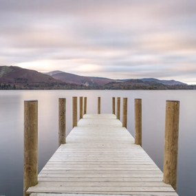 Poszter 70x70cm, Assaf Frank