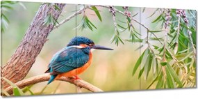 Vászonkép 150x70 Gyönyörű télimadár