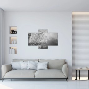 Kép - Mező az eső után (90x60 cm)