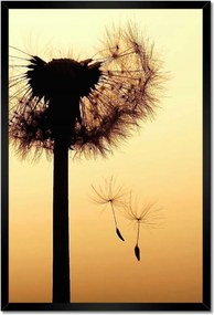 Poszterek keretben 40x60 Pitypang Virág Virágok