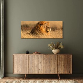 Kép - Etosha Nemzeti Park (120x50 cm)