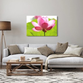 Lótuszvirág kép (90x60 cm)