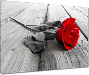 Vászonkép 80x60 Vörös rózsa a deszkákon