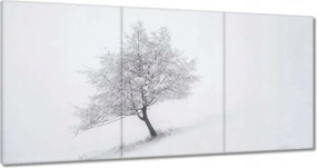 Festmények 120x60 Fa Fák Kilátás