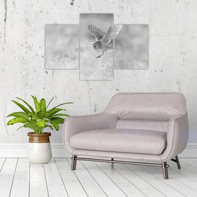 Kép - Bagoly a mezőn (90x60 cm)