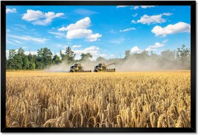 Poszterek keretben 60x40 Két fűnyíró kombájn