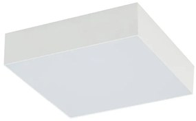 Lid