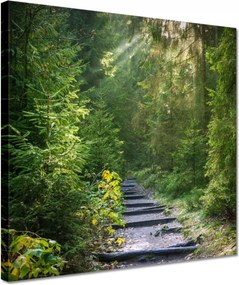 Festmények 30x30 Tájkép