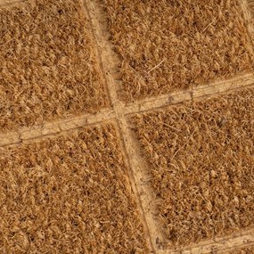 Kókuszrost lábtörlő 25x75 cm Trazos – Casa Selección