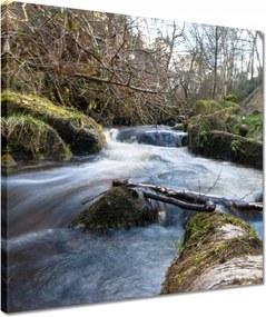 Vászonkép 40x40 Okos hegyi folyó
