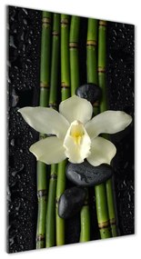 Egyedi üvegkép Orchidea és bambusz osv-55995271