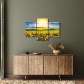 Kép - Napraforgó mező (90x60 cm)