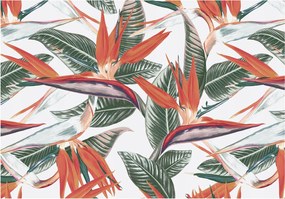 Fotótapéta Virágok Paradicsom madár Strelicia Trópusi minta 300x210 +ragasztó