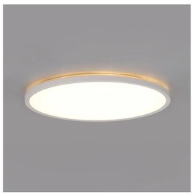 LED fürdőszobai lámpa NIVERA LED/12W/230V IP54 22,5 cm fehér + távirányító