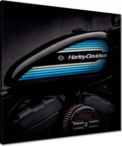 Képek 60x60-as Harley Davidson motorkerékpár