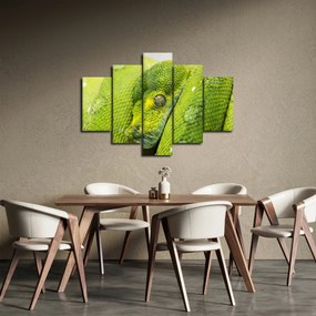 Kígyó képe (150x105 cm)