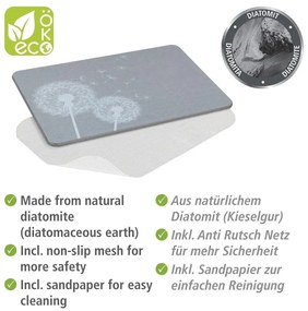 Szürke kovaföld fürdőszobai kilépő 39x60 cm Astera – Wenko