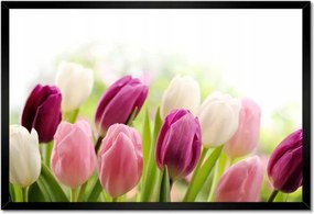 Poszterek keretben 60x40 Gyönyörű tulipánok
